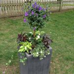 Spring planter