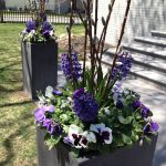 Spring planter