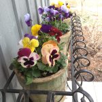 Spring planter